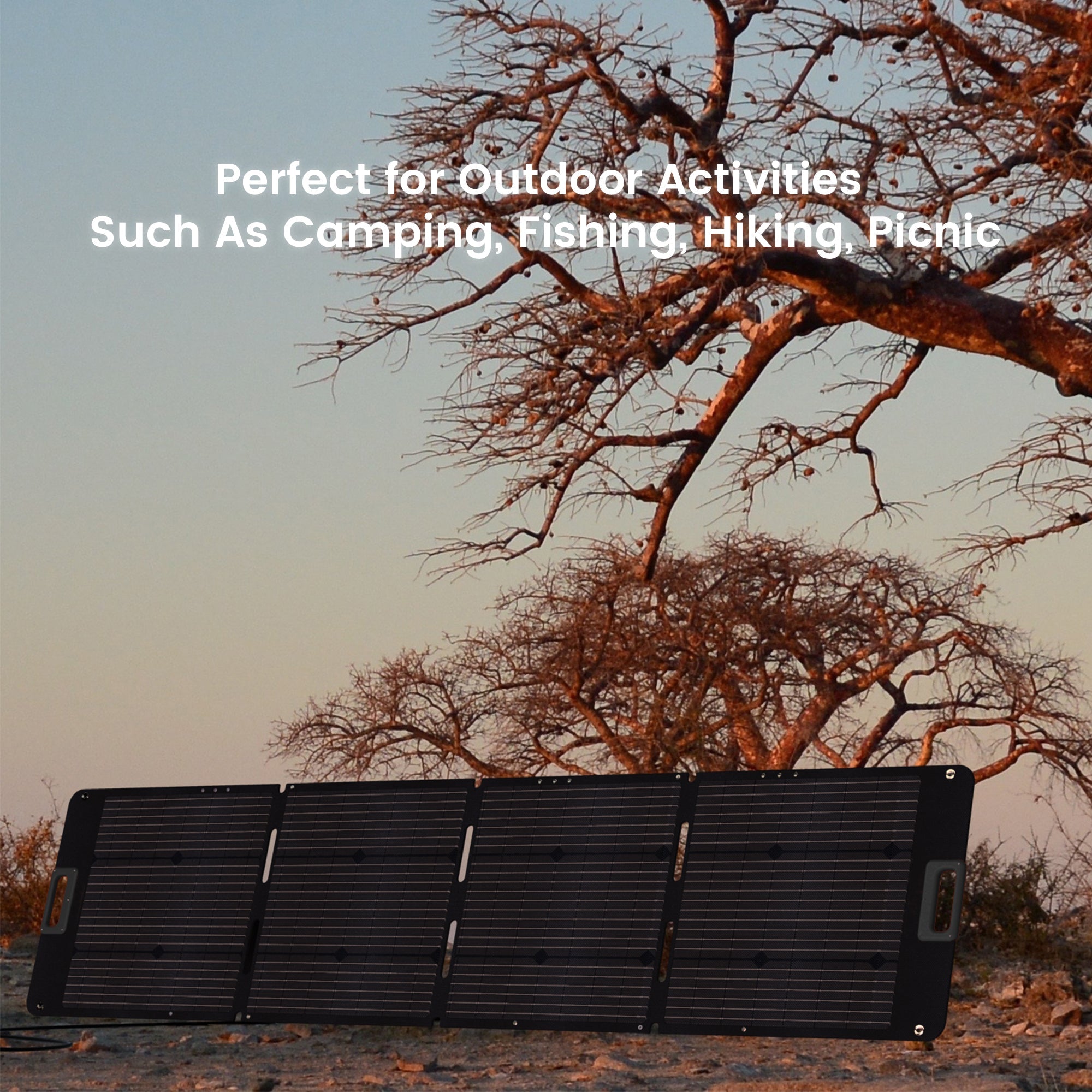 NurzviySolar PanelsSolarEpoch 80